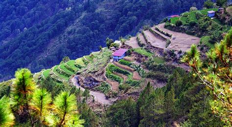 Sagada Travel Guide: A Peaceful Mountain Destination.